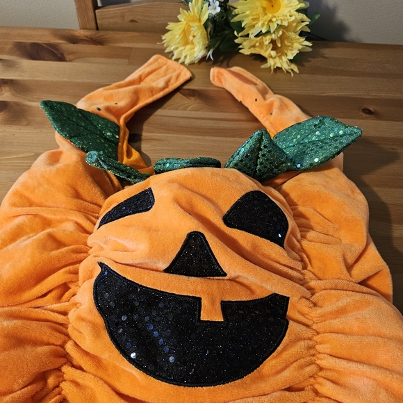 Thrills & Chills - Dog Pumpkin Halloween Costume - Size L - Picture 5 of 13